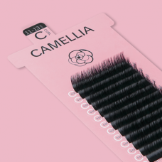 CAMELLIA BLACK / D+ CURL
