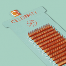 CELEBRITY / SUN FLOWER / ORANGE+RED