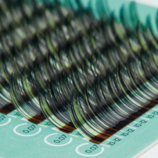 CELEBRITY / GREEN PEONY / GREEN+BLACK