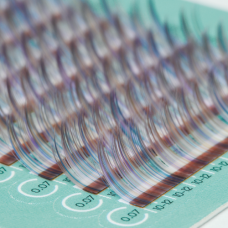 CELEBRITY / ADONIS FLOWER / PURPLE+GREY+BROWN