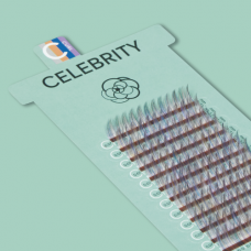 CELEBRITY / ADONIS FLOWER / PURPLE+GREY+BROWN