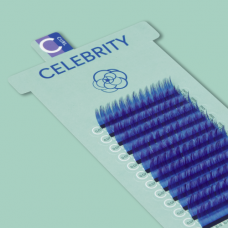 CELEBRITY / IRISES / BLUE+PURPLE