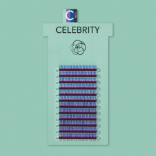 CELEBRITY / MYOSOTIS / BLUE+PURPLE+BLACK