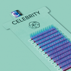 CELEBRITY / MYOSOTIS / BLUE+PURPLE+BLACK