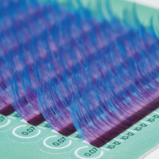 CELEBRITY / MYOSOTIS / BLUE+PURPLE+BLACK