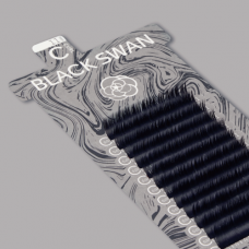 BLACK SWAN / D+ CURL