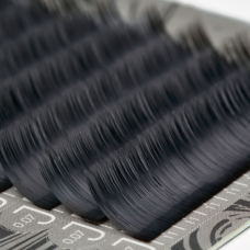BLACK SWAN / D CURL